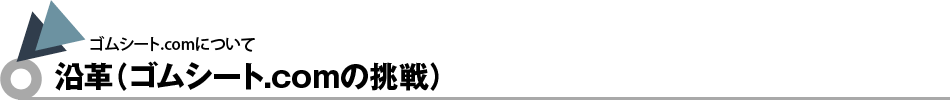 沿革（ゴムシート.comの挑戦）