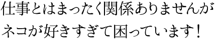 仕事とはまったく関係ありませんがネコが好きすぎて困っています！