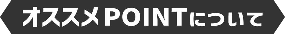 オススメのPOINTについて